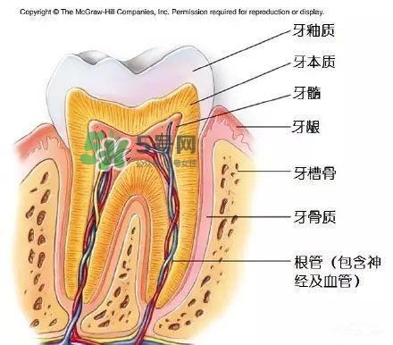 regenerate牙膏多少錢？regenerate牙膏專柜價格