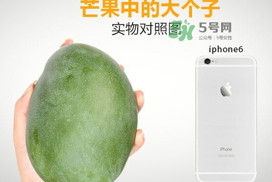 凱特芒果多少錢一斤？凱特芒果價(jià)格