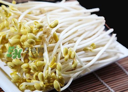 豆芽有根好還是無(wú)根好？無(wú)根豆芽與有根豆芽區(qū)別