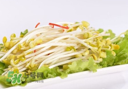 豆芽怎么保存？新鮮豆芽放冰箱能放幾天？