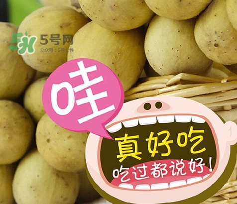 龍宮果孕婦可以吃嗎？懷孕可以吃龍功果嗎