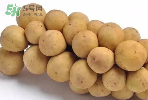 龍宮果多少錢一斤？龍功果價(jià)格表