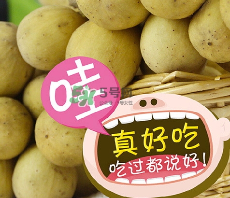 龍宮果多少錢一斤？龍功果價(jià)格表