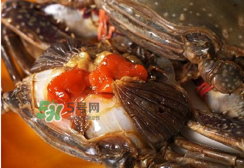 梭子蟹有蟹黃嗎？梭子蟹蟹黃在哪里？