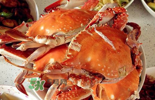 梭子蟹為什么沒有蟹黃？梭子蟹蟹黃能吃嗎？