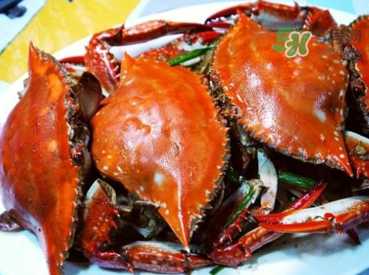 梭子蟹可以煮嗎？梭子蟹怎么煮？