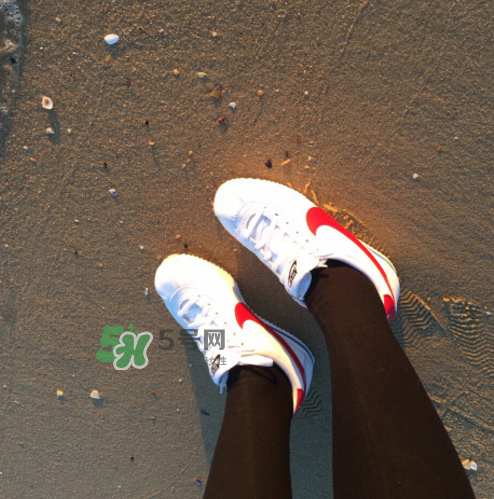 nike cortez jewel皮革版多少錢(qián)？耐克阿甘鞋皮革款價(jià)格