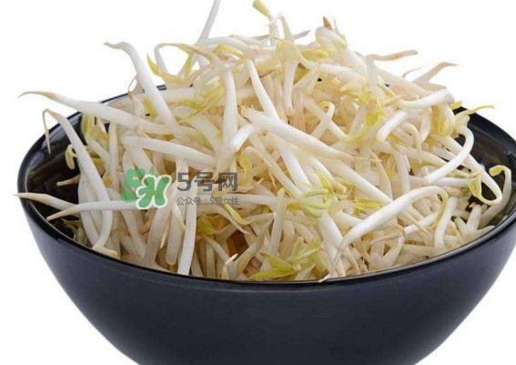 豆芽什么季節(jié)吃？豆芽什么時候有
