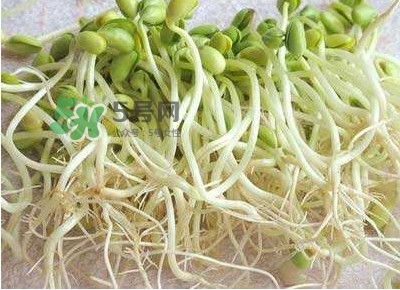 豆芽是發(fā)物嗎？豆芽能見陽光嗎