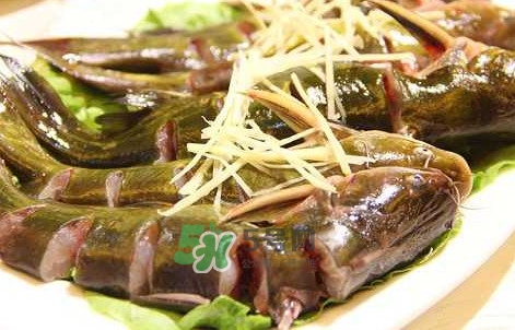 黃蜂魚怎么做好吃？黃蜂魚怎么釣