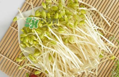 豆芽怎么保存？新鮮豆芽放冰箱能放幾天？