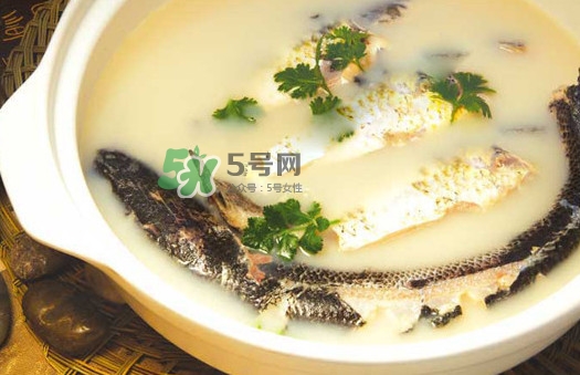 黃蜂魚怎么煮好吃？黃蜂魚燉湯孕婦可以喝嗎