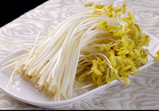 豆芽有綠葉還能吃嗎？豆芽有點爛了還能吃嗎