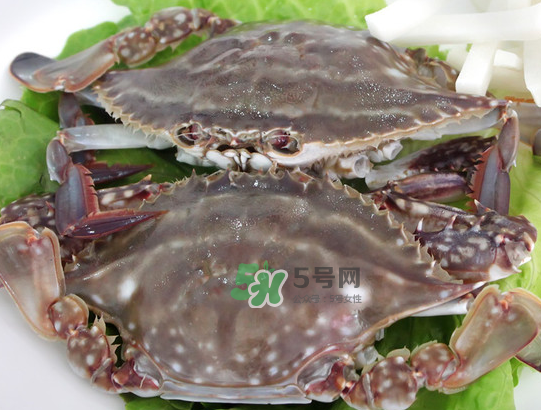 梭子蟹為什么這么貴？梭子蟹和大閘蟹哪個貴？