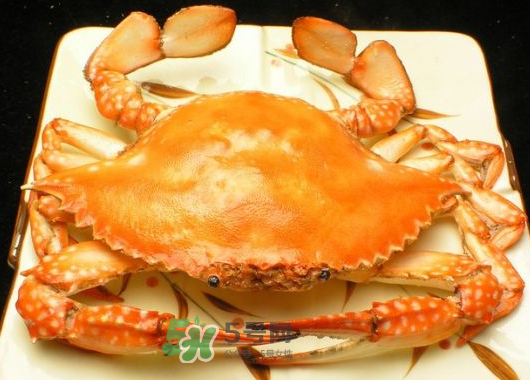 飛蟹什么時候最肥？飛蟹幾月份最肥？
