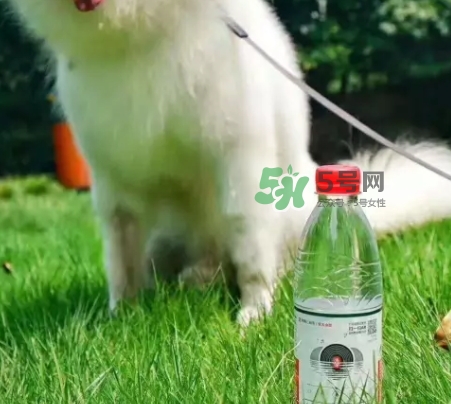 網(wǎng)易云音樂農(nóng)夫山泉樂瓶怎么玩？云音樂農(nóng)夫山泉玩法