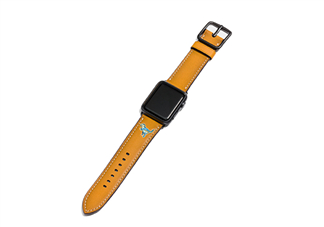 coach apple watch恐龍表帶多少錢？蔻馳蘋果手表恐龍表帶價格