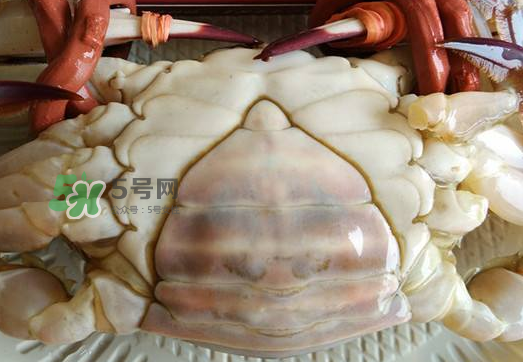 飛蟹多少錢一斤？飛蟹多少錢一斤2017？