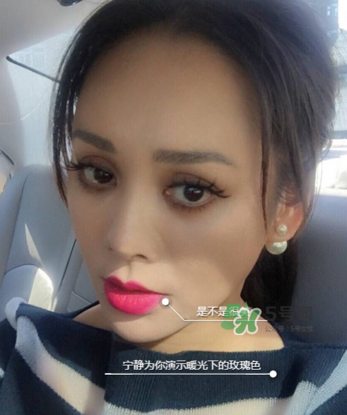 ysl208是什么顏色？ysl208適合黃皮嗎？