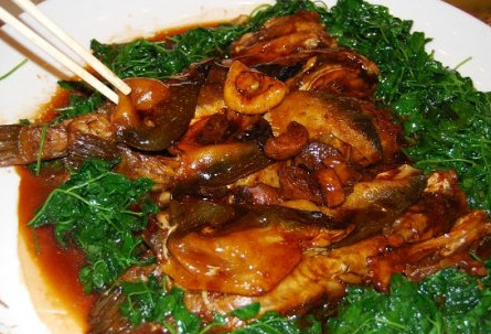 河豚魚怎么吃？河豚魚怎么去毒