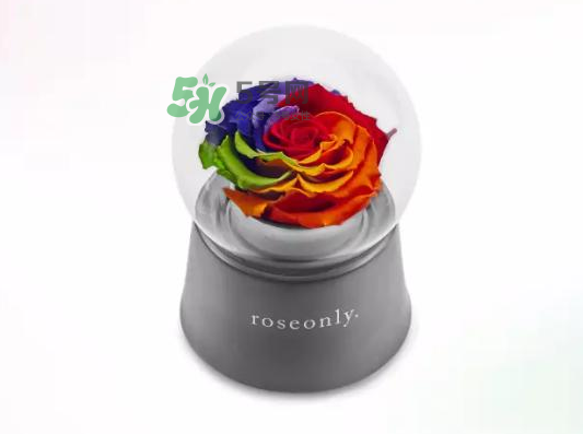roseonly音樂盒多少錢？roseonly音樂盒歌曲名