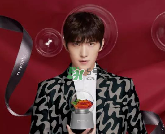 roseonly音樂盒多少錢？roseonly音樂盒歌曲名