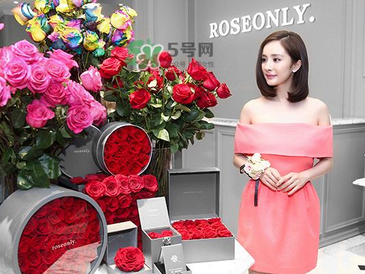 roseonly音樂盒多少錢？roseonly音樂盒歌曲名