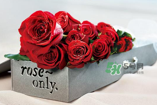 roseonly永生花可以保存多久？roseonly永生花保養(yǎng)