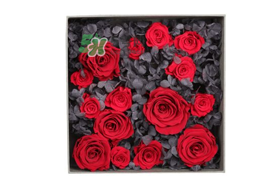 roseonly永生花可以保存多久？roseonly永生花保養(yǎng)
