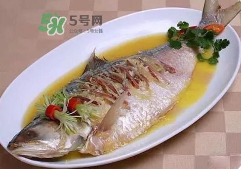 鰣魚怎么讀？鰣魚是什么魚