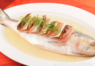 為什么吃清蒸海鰣魚都是半條？鰣魚有什么營養(yǎng)價值
