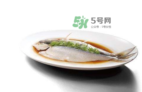 鰣魚刺多嗎？鰣魚可以養(yǎng)殖嗎