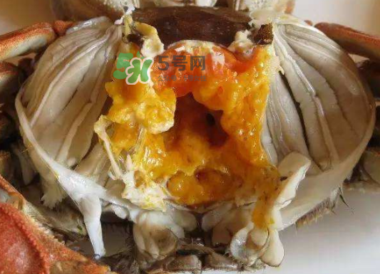 大閘蟹不能和什么一起吃？大閘蟹和什么食物相克？