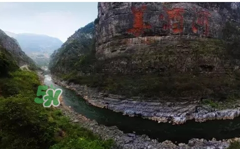 茅臺酒為什么那么貴？茅臺酒為什么這么貴