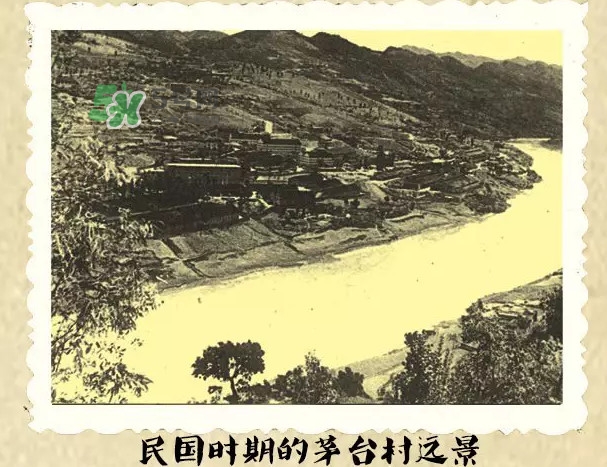 茅臺酒為什么那么貴？茅臺酒為什么這么貴