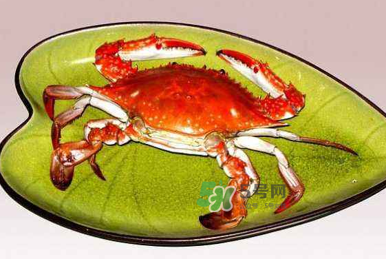 海螃蟹蒸多長時間？海螃蟹蒸多久？