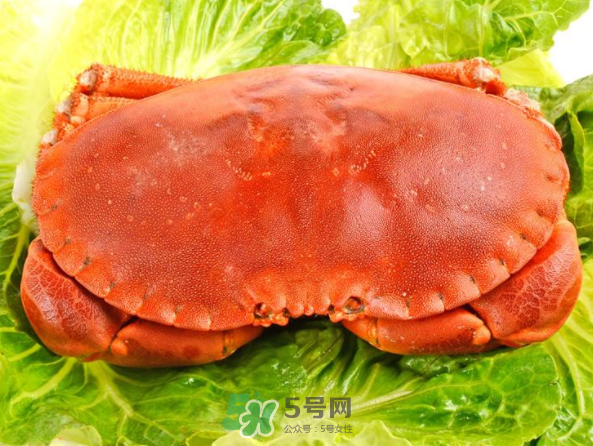 面包蟹和帝王蟹哪個好吃？面包蟹好吃還是帝王蟹好吃？