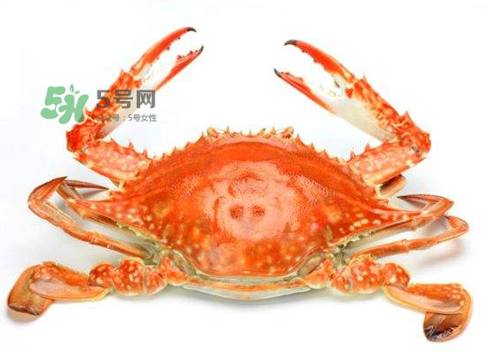 ?花蟹可以放冰箱嗎？花蟹怎么保存才新鮮？