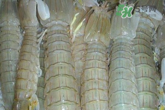 蝦蛄怎么讀？蝦蛄多少錢一斤