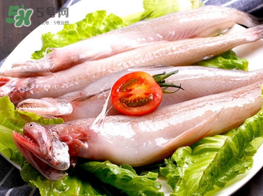 龍頭魚(yú)是海魚(yú)嗎？龍頭魚(yú)是海鮮嗎