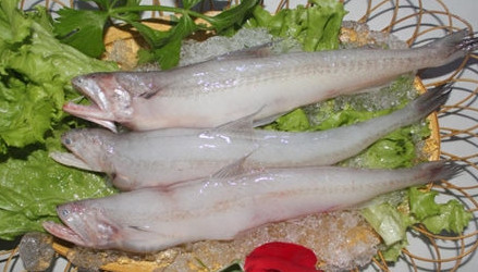 龍頭魚怎么做好吃？龍頭魚干怎么做好吃