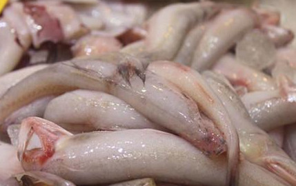 龍頭魚怎么做好吃？龍頭魚干怎么做好吃