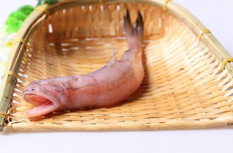 龍頭魚怎么做好吃？龍頭魚干怎么做好吃
