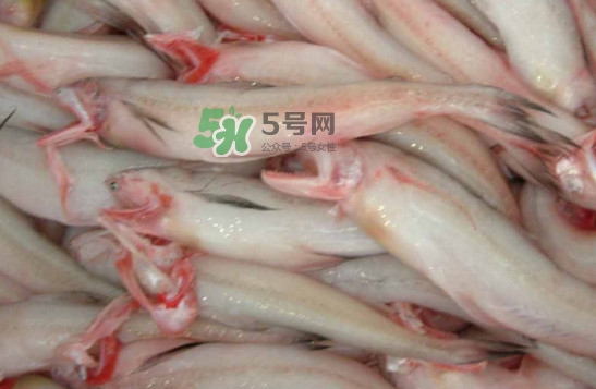 龍頭魚怎么炸？龍頭魚怎么做湯