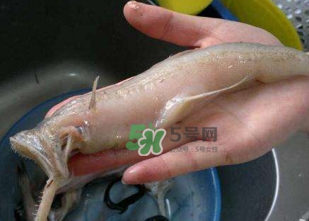 水潺湯怎么做？水潺燉豆腐的做法