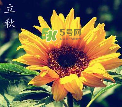 立秋后是不是早晚天氣涼？立秋后天氣有什么變化？