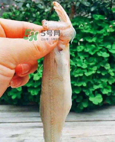 水潺怎么讀？水潺是海鮮嗎