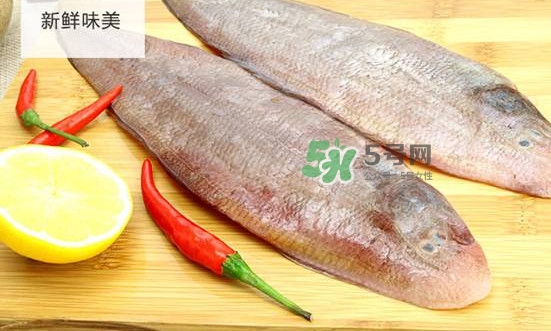 龍利魚多少錢一斤？龍利魚是什么魚