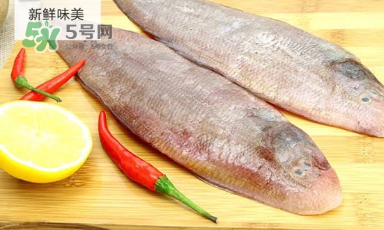 龍利魚怎么挑選？龍利魚與越南巴沙魚的區(qū)別
