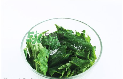 南瓜苗怎么做好吃？南瓜苗怎么撕？